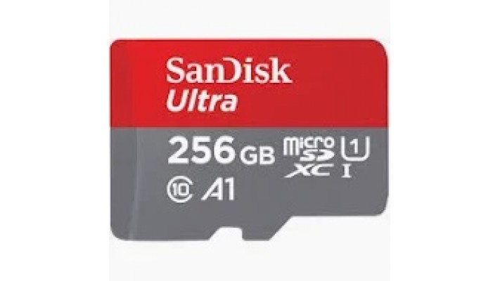 SanDisk Ultra 256Gb carte mémoire pour enregistrement vidéo et son de votre caméra surveillance.
